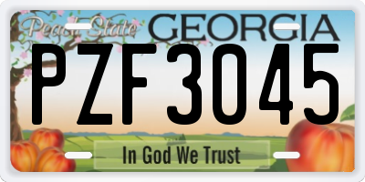 GA license plate PZF3045