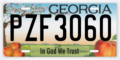 GA license plate PZF3060