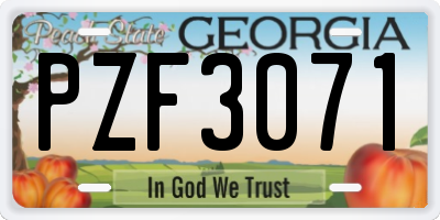 GA license plate PZF3071