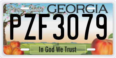 GA license plate PZF3079