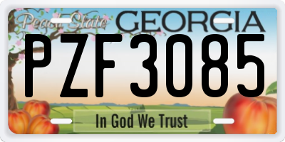 GA license plate PZF3085
