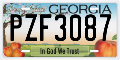 GA license plate PZF3087