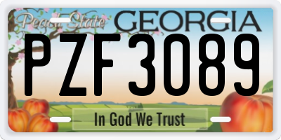 GA license plate PZF3089