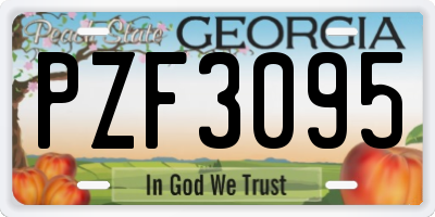 GA license plate PZF3095