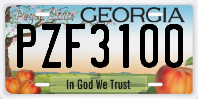 GA license plate PZF3100