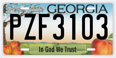GA license plate PZF3103
