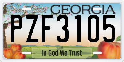 GA license plate PZF3105