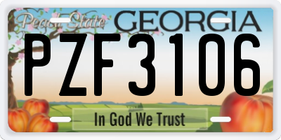 GA license plate PZF3106