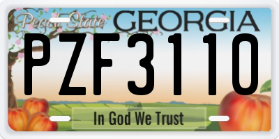GA license plate PZF3110