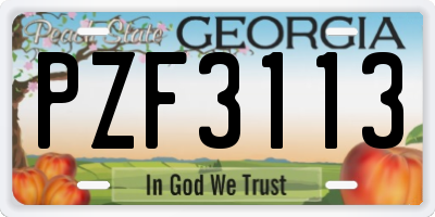 GA license plate PZF3113
