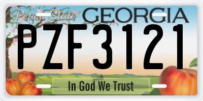 GA license plate PZF3121