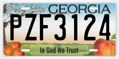 GA license plate PZF3124