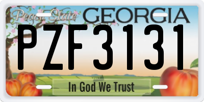 GA license plate PZF3131