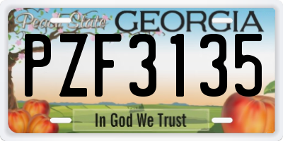 GA license plate PZF3135