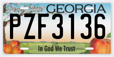 GA license plate PZF3136