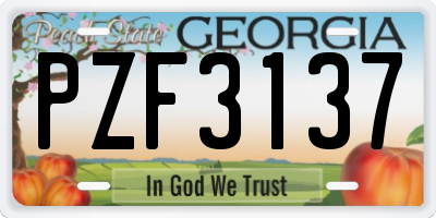 GA license plate PZF3137