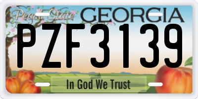 GA license plate PZF3139