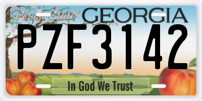 GA license plate PZF3142