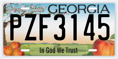 GA license plate PZF3145