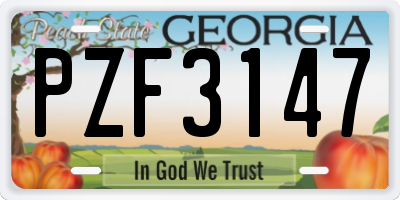 GA license plate PZF3147