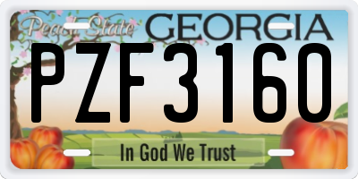 GA license plate PZF3160