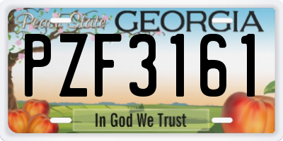 GA license plate PZF3161