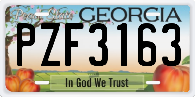 GA license plate PZF3163