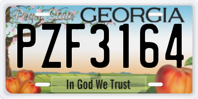 GA license plate PZF3164