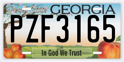 GA license plate PZF3165