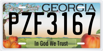 GA license plate PZF3167
