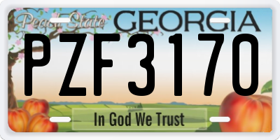 GA license plate PZF3170
