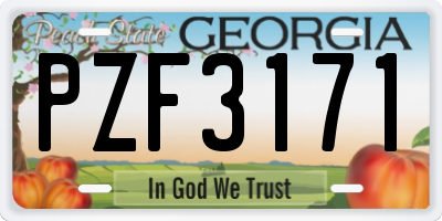 GA license plate PZF3171