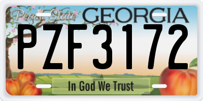 GA license plate PZF3172