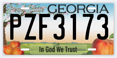 GA license plate PZF3173