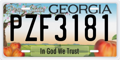 GA license plate PZF3181