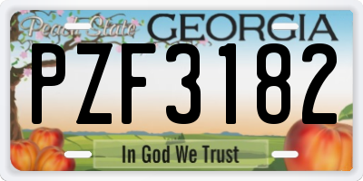 GA license plate PZF3182