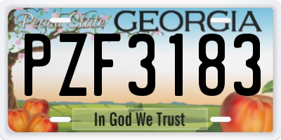 GA license plate PZF3183
