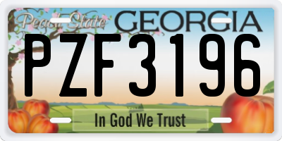 GA license plate PZF3196