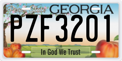 GA license plate PZF3201