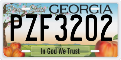 GA license plate PZF3202
