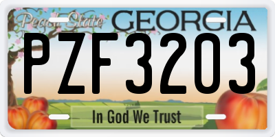 GA license plate PZF3203