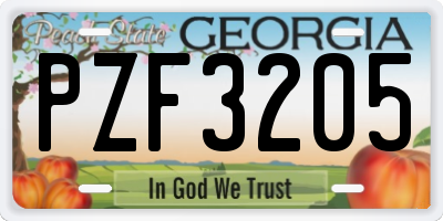GA license plate PZF3205