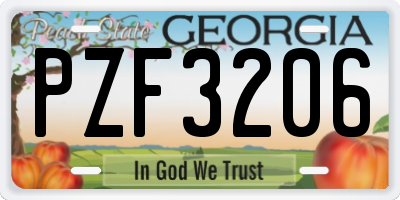 GA license plate PZF3206