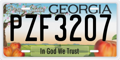 GA license plate PZF3207