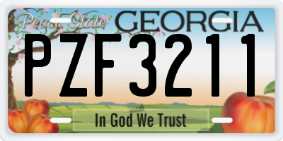 GA license plate PZF3211