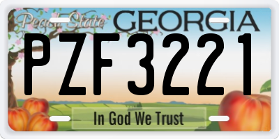 GA license plate PZF3221