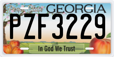GA license plate PZF3229