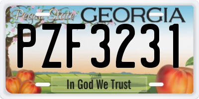 GA license plate PZF3231