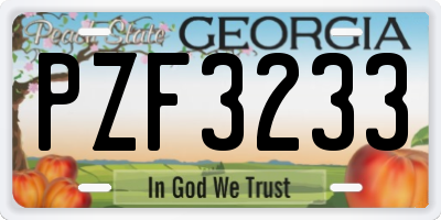 GA license plate PZF3233