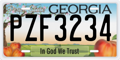 GA license plate PZF3234
